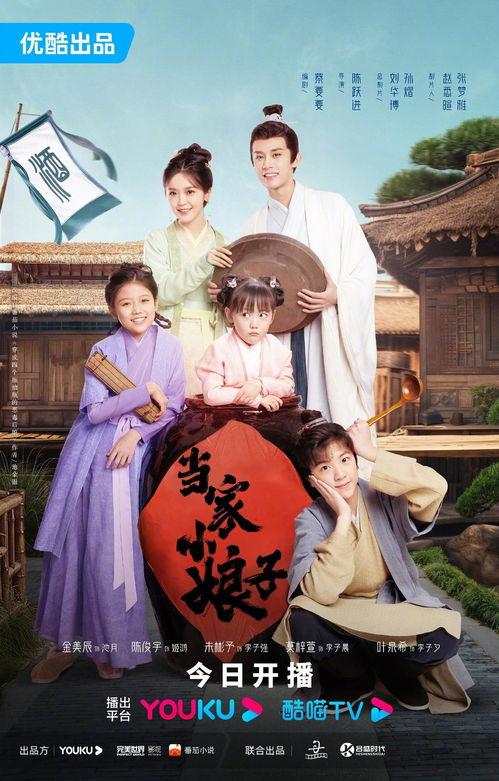 当家小娘子,揭秘古代女性的智慧与担当