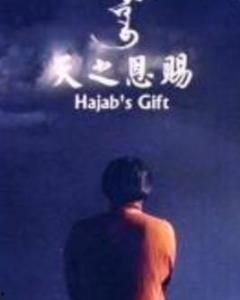 天之恩赐,探寻自然馈赠的奥秘与智慧