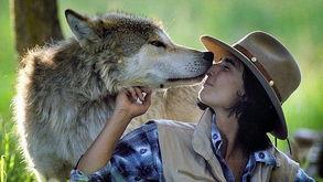 与狼共爱,一段跨越种族的禁忌之爱